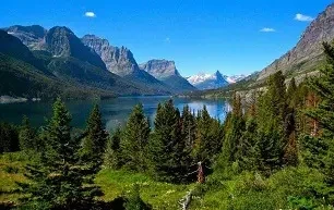 Отдых в Карпатах