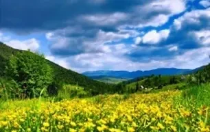 Природа Украинских Карпат