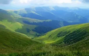 Летний отдых в Карпатах